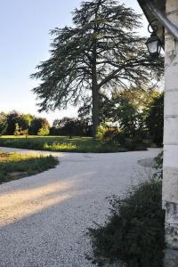 Appartements Un sejour au Manoir sud Tours : photos des chambres