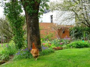 B&B / Chambres d'hotes Le Jardin aux Oiseaux : photos des chambres