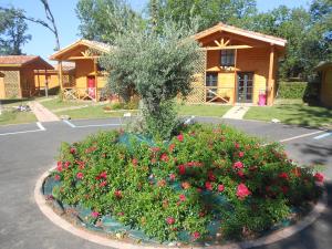Maisons de vacances Les gites des Palombes : photos des chambres