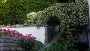 La casa degli oleandri