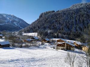 Appartements La chaumiere des neiges : photos des chambres