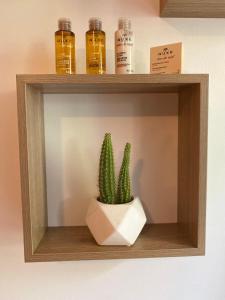 Chambre Cocoon dans une maison avec SPA et jardin en centre ville