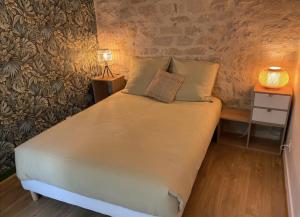 Chambre Cocoon dans une maison avec SPA et jardin en centre ville