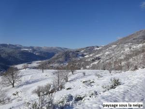 Chalets Le Chalet Bel Air : photos des chambres