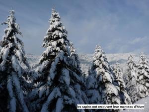 Chalets Le Chalet Bel Air : photos des chambres