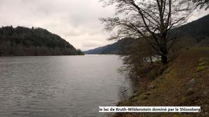 Chalets Le Chalet Bel Air : photos des chambres