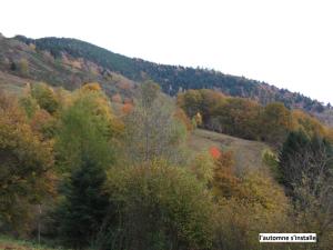 Chalets Le Chalet Bel Air : photos des chambres