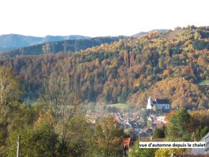 Chalets Le Chalet Bel Air : photos des chambres