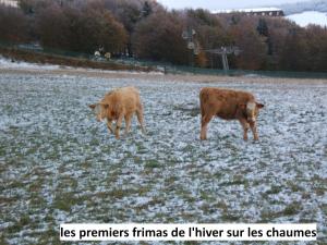 Chalets Le Chalet Bel Air : photos des chambres