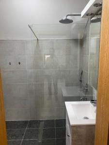Dvosobni apartmani KopaNiK, Kopaonik (Brzece)