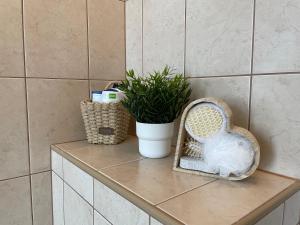 Balaton City Apartment