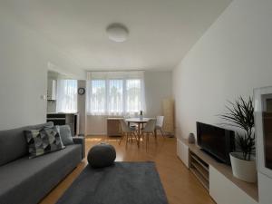 Balaton City Apartment