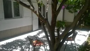 Apartment Anđelka - Zakučac