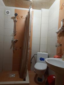 Guest House Stari Druzy