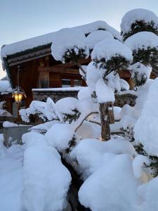 Lodges Lodge Jardin Secret - Proprietes Mont Amour : photos des chambres