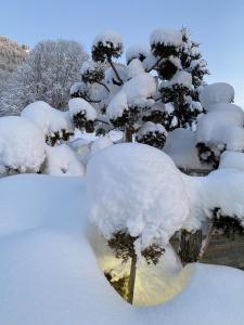 Lodges Lodge Jardin Secret - Proprietes Mont Amour : photos des chambres