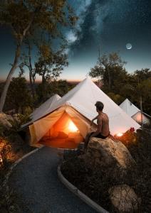 Roost Glamping - SHA Certified