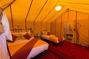 Luxury Bega Camp