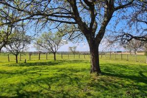 Maisons de vacances Monis Cottage in der Natur : photos des chambres