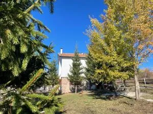 Kassandrov Guest House Ravnogor/ Касандрова къща Равногор - Perushtitsa