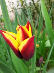 LE CLOS DHERBLAY Chambres dHôtes