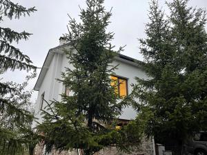 Kassandrov Guest House Ravnogor/ Касандрова къща Равногор