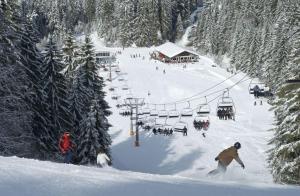 Chalets Le Refuge du Cerf : photos des chambres