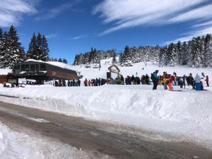 Appartements Charmant studio cabine COSY a 100 m des pistes : photos des chambres
