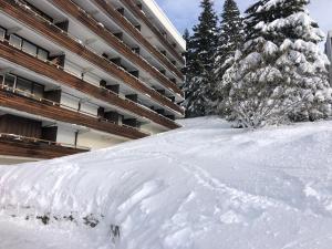 Appartements Charmant studio cabine COSY a 100 m des pistes : Appartement 1 Chambre