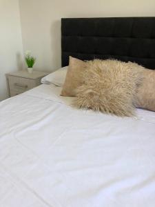 CABAÑAS FENIX con EL ARROYO AMBOY RODEANDO LA PROPIEDAD reservar con 24 hs de anticipación