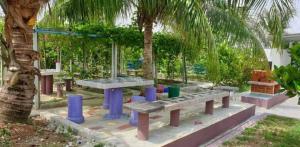 Sunrise Homestay