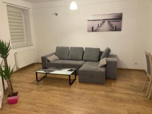 Mieszkanie w Centrum