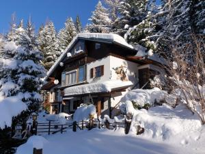 Alm-Ferienhaus Gaisegg am Klippitztörl