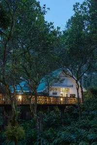 Reen Resorts Aanavilasam Plantation Thekkady - Vandiperiyār