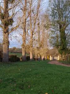 Les Tilleuls de Marie - Saint-Julien-de-Jonzy