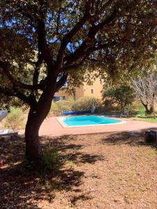 Chalets Charmant chalet a Cornillon-Confoux avec piscine partagee : photos des chambres