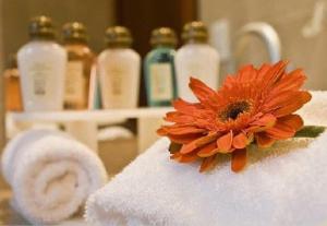 Hotel Stubel Suites & Cafe