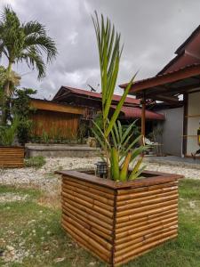 Denai Senja