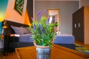 Classy Studio Naschmarkt