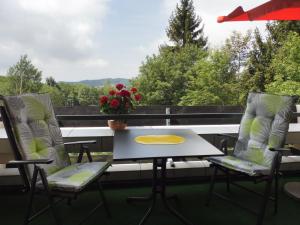 Komfortable Wohnungen und Studio in Sankt Englmar