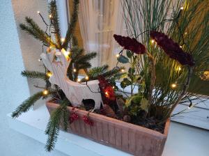 Chalets chalet des pierres opalines : photos des chambres