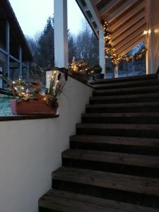 Chalets chalet des pierres opalines : photos des chambres