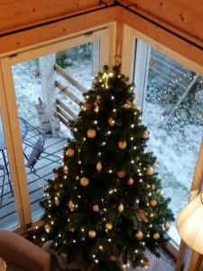 Chalets chalet des pierres opalines : photos des chambres