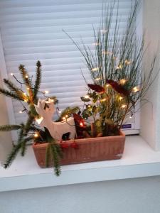 Chalets chalet des pierres opalines : photos des chambres