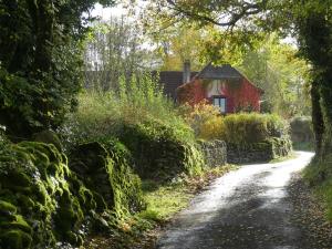 B&B / Chambres d'hotes Le Domaine du Gravier : photos des chambres