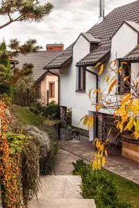 Villa crocus - Borki