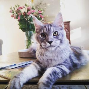 Hotels Hotel Galla Placidia : photos des chambres