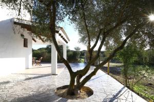 La Quinta de María Luisa