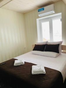 Під явором NEW