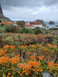 Villa Matilde e Joaquim